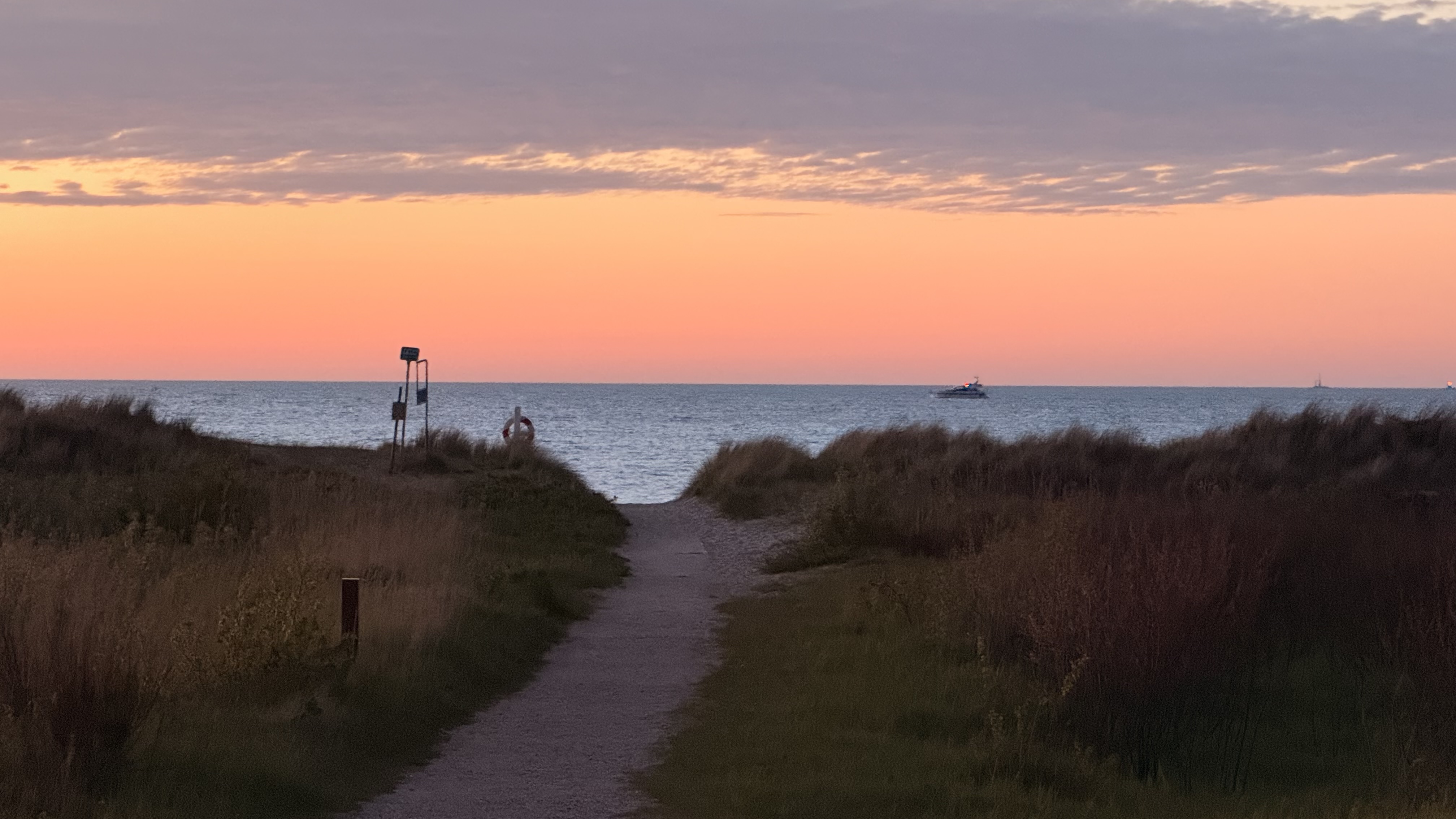Dune landscape