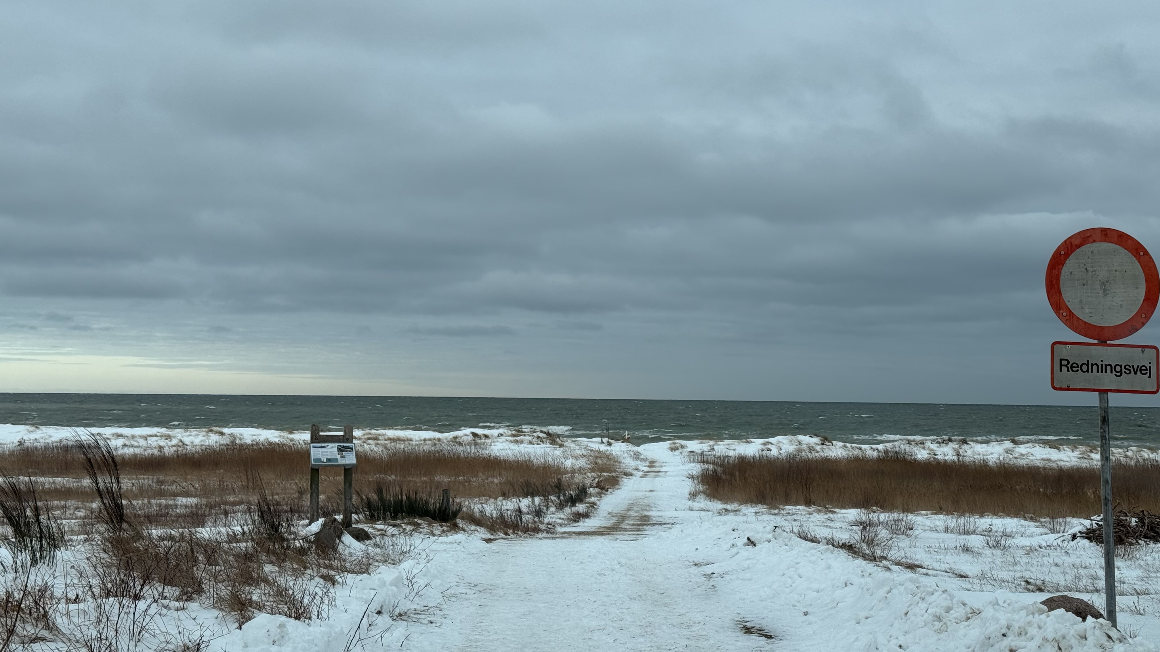 Nordic coastline